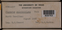 Image Associated With the Occurence
